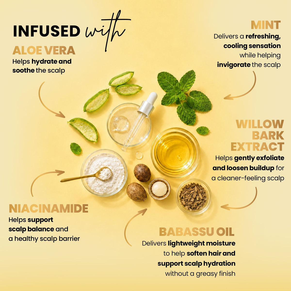 Scalp Therapy Full Collection 5 Piece - Early Access - Bask and Lather Co