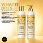 Scalp Balancing Shampoo & Scalp Restoring Conditioner Set - Bask and Lather Co