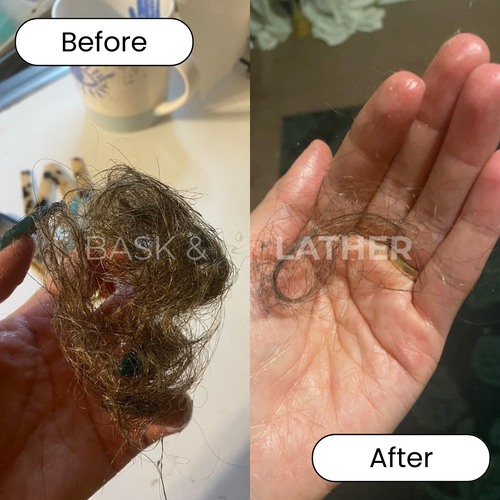 Shedding Result 1
